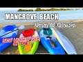 Umm Al Quwain Mangrove Beach #UAE | MANGROVES IN UAQ | മനോഹരമായ കണ്ടൽക്കാടുകൾ |KAYAKING | Hidden Gem