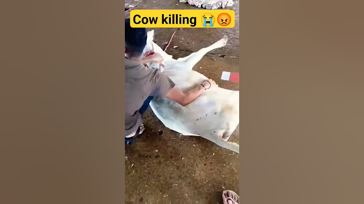 Beauty of Sanatan Dharm || Stop killing cows #cow #sanatandharma #hindu #india #god #love #hinduism