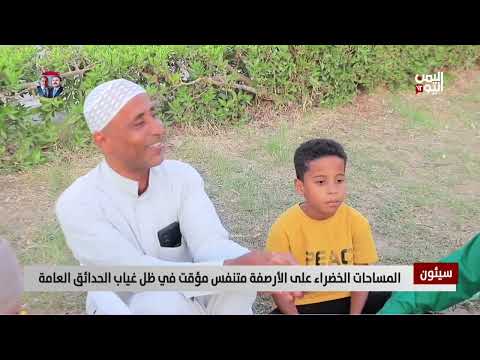 سيئون: المساحات الخضراء على الأرصفة بديل مؤقت لغياب الحدائق
