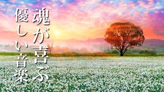 自律神経に優しい音楽 ～ 心の中に癒しが広がり魂が喜ぶピアノBGM