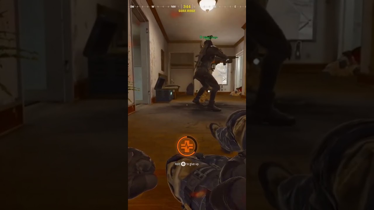 Dingo Fails at Execution