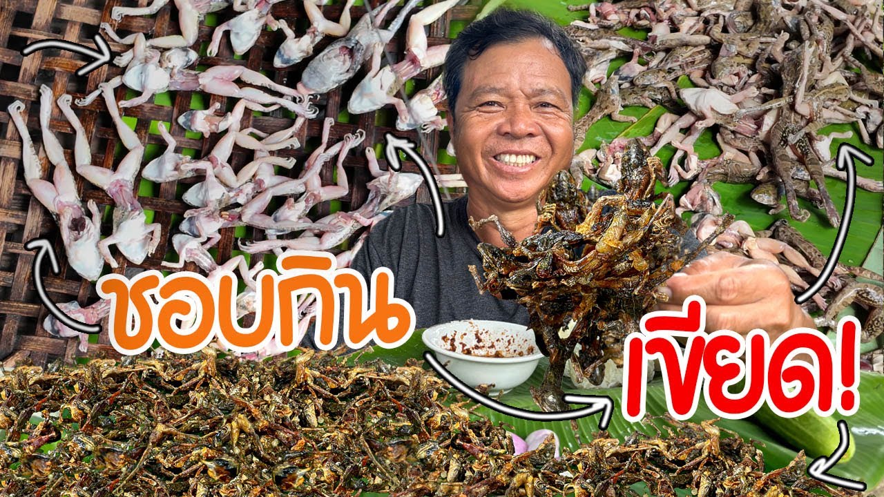 ครัวป่าไผ่ - ตอน เผยสูตรลับ!! ส่องเขียด แต่ได้ปลาช่อน ตัวใหญ่ยักษ์