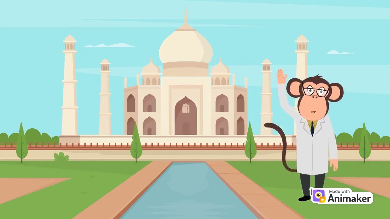 Monkey at the Taj Mahal 🐒🏰✨