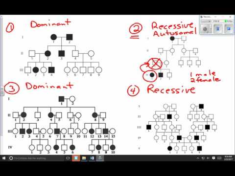 Interpreting Pedigree Charts