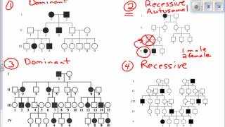 Interpreting Pedigree Charts