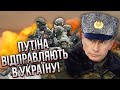 Ого! У Росії жорстоко послали Путіна на фронт. ГАЛЛЯМОВ: просять терміново закінчувати війну