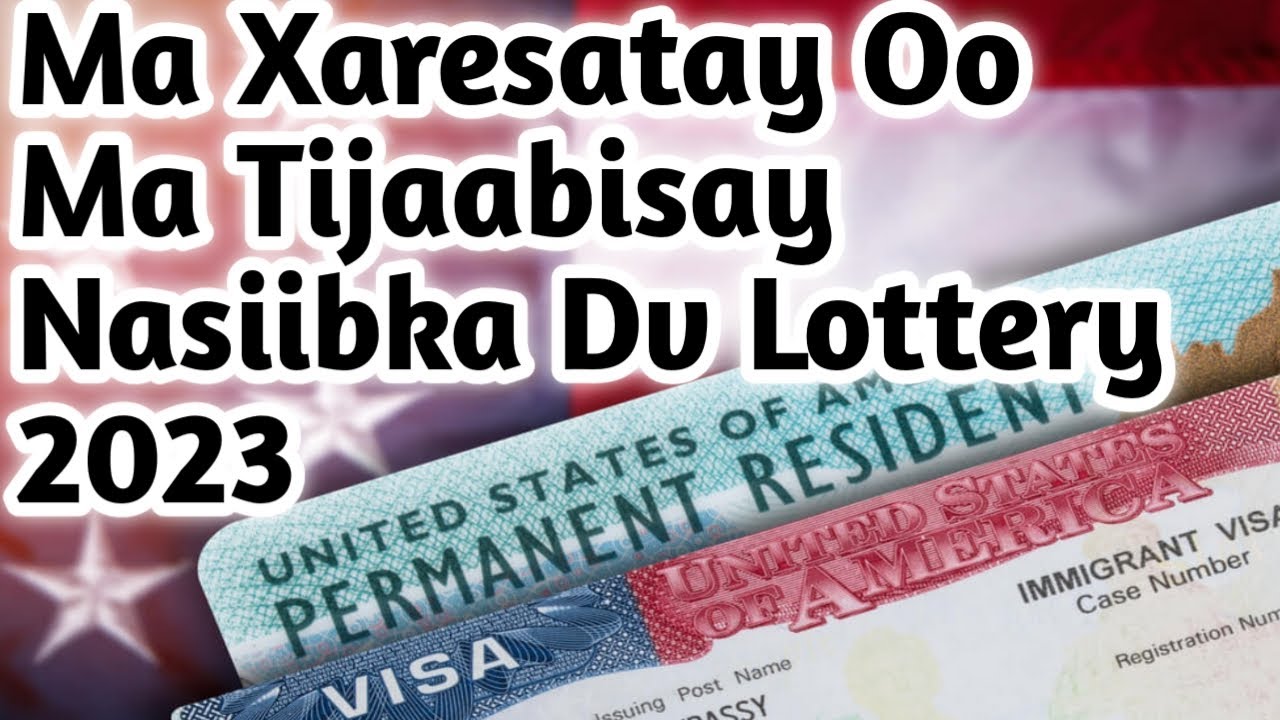 Maxaresatay Dv Lottery 2023 Nasiibka Tijaabi Si Aad U Hesho Visa Bilaash ah Soo Jedinayo Munasar