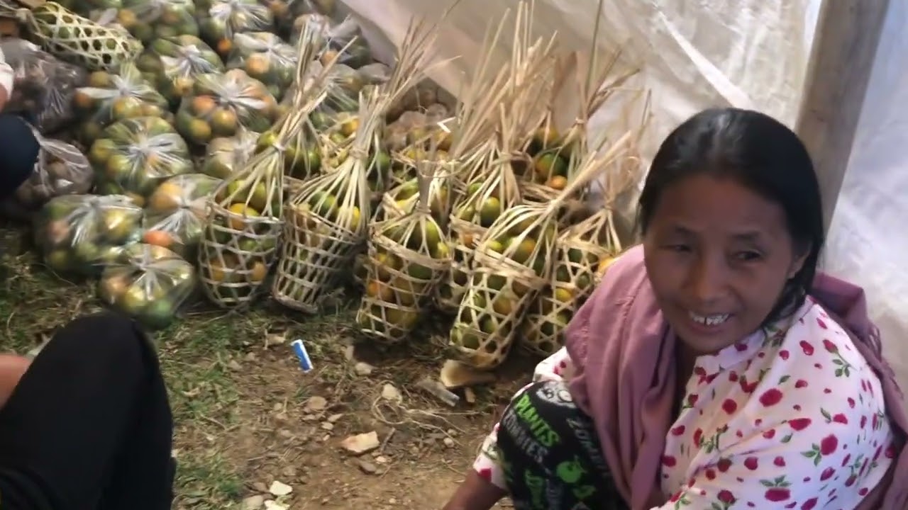 Welcome to pughoboto AHUNA 