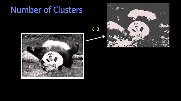 Number of Cluster