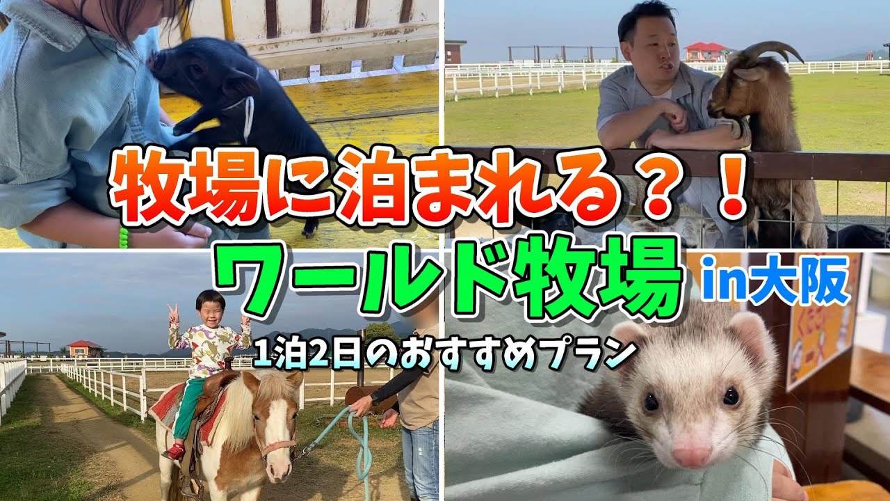 【夏に行くべき大阪旅行】1泊2日でワールド牧場を完全攻略！おすすめプランご紹介