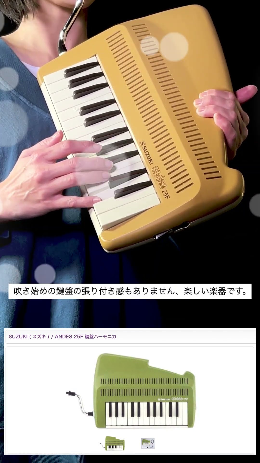 SUZUKI / ANDES 25F 鍵盤ハーモニカ - YouTube