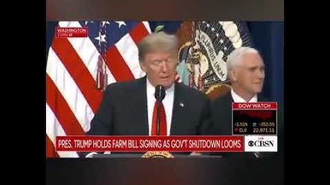 Donald Trump 🇺🇸 : 😂  « Zebi good name, good job too ! »