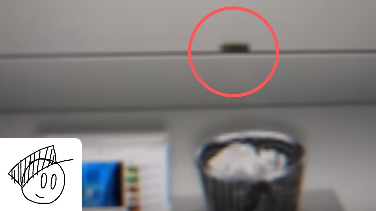 Literal Computer Worm?! - YouTube