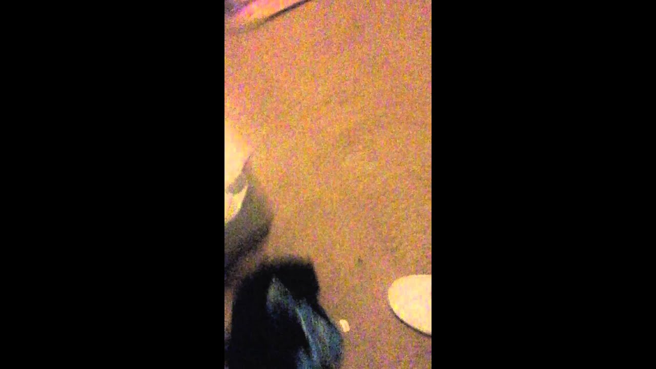 dang daniel back at it again with the white vans