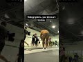 Too slow videographer