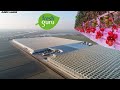 Fresh guru  serra idroponica per pomodori  tomatoes hydroponic greenhouse