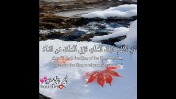 راحة نفسية 🌸- حالات واتس اب دينية - ستوريات قرآن كريم🌸 - مقاطع انستغرام دينية قصيرة - سورة آل عمران