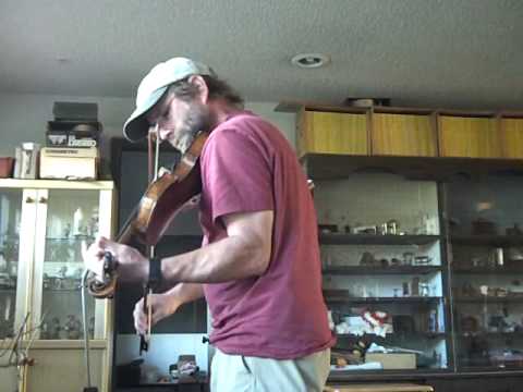 Jammin' with The Island of Woods by Liz Carroll an...