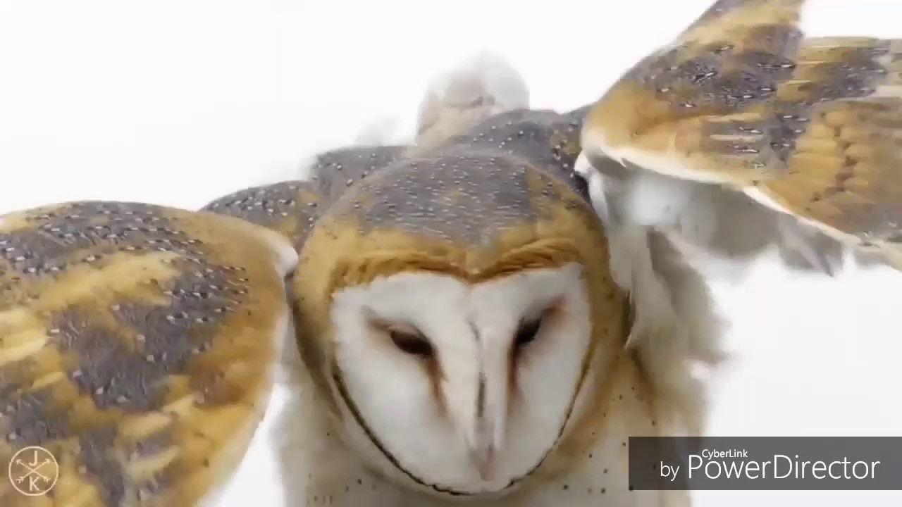 Gum Pakum Gum Nepali song YouTube