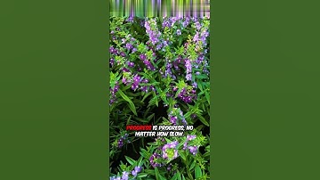 The Truth About #Slow Progress 🌱 #shorts  #mindsetshift #mindsetminute #success