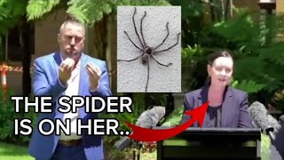 Huntsman Spider Interrupts Health Conference..🫢😅