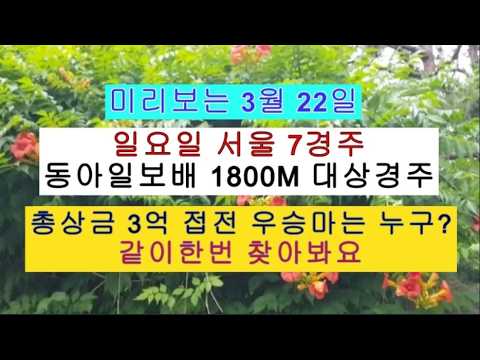 강축 없는 총상금 3억 동아일보배 대상경주 1800M 우승마 같이한번 찾아봐요?
