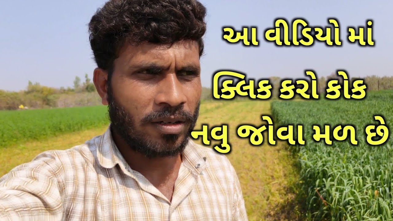 આજે તો ગયો ની સેવા કરી 🙏|Aaje To Gayo Ni Seva Kari 👍|New Vlog Video #farming #vlog #video 