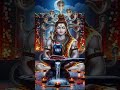 कालो के भी काल की जय बोलो महाकाल की __#hindugod #mahakal #ujjain #shivparvati #jai #bolo #youtube#yt