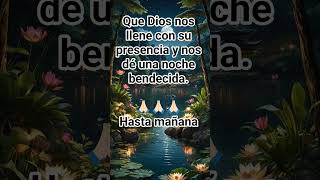bendecida noche #amordeDios #bendicion #misericordia #fe