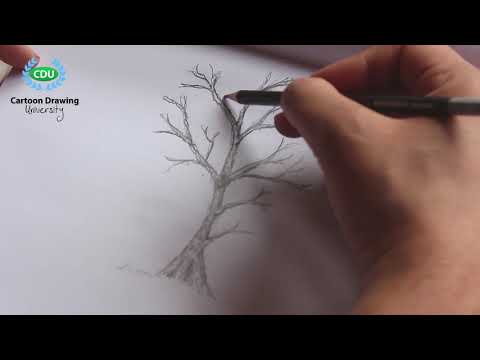 Video: Hoe Teken Je Bomen Met Een Potlood?