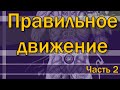 Что такое правильные упражнения? Часть 2/3  [S02E11]