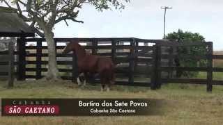 Bartira Dos Sete Povos