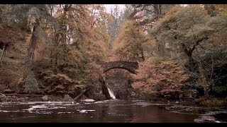 Calum Stewart (Uilleann Pipes)  &quot;Tales from the North&quot;