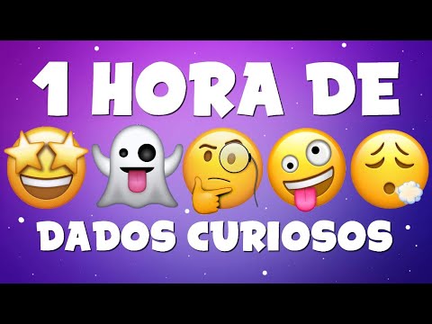 Vídeo: Do Egito a El Paso: a jornada de um cão da perdida mutilada até a felicidade para sempre