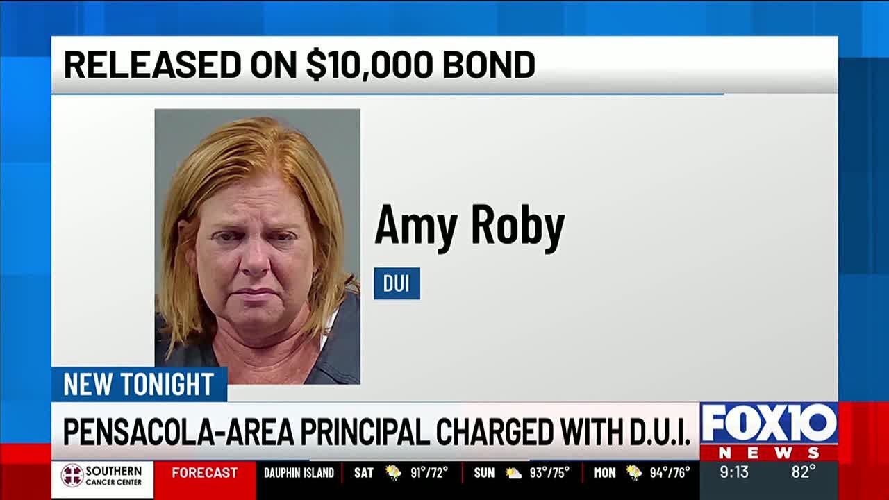 Pensacola elementary school principal charged with DUI - YouTube