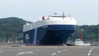 PLEIADES LEADER