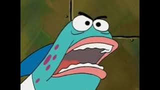 what did you say