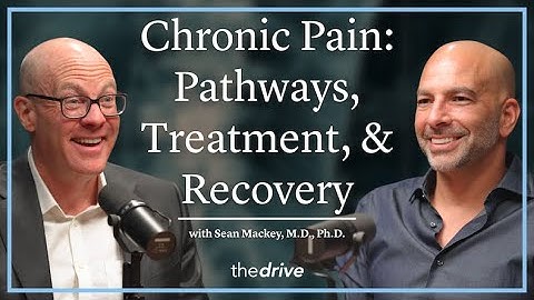 345 ‒ Chronic pain: pathways, treatment, and the path to physical and psychological recovery