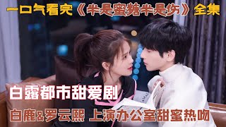 一口气看完《半是蜜糖半是伤》全集 白鹿&罗云熙 上演办公室甜蜜热恋