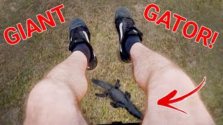 Almost Landed On A Giant Gator!!!