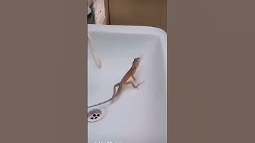 #subscribe to my channel and like this video