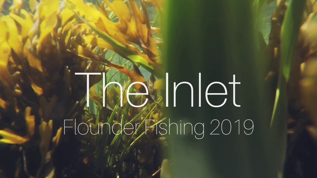 FLOUNDER FISHING OCEAN CITY NJ VLOG YouTube