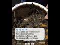 CLAUSURAN restaurante de MARISCOS en Guayaquil