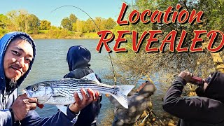 Striper Fishing on Fire Sacramento River #fishing #fishingvideo #fishinglife