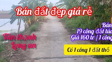 bán 19 công đất lúa giá rẻ ở xã tân lập,tân thạnh,long an.sđt 0979920397