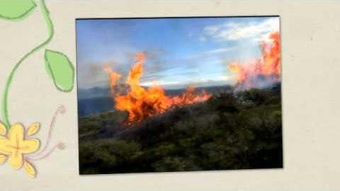 NLP and the State of 21st Century Accelerated Learning .mp4