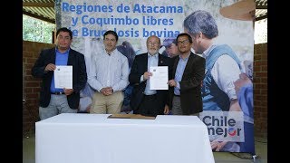 SAG declara a las regiones de Atacama y Coquimbo libres de brucelosis bovina