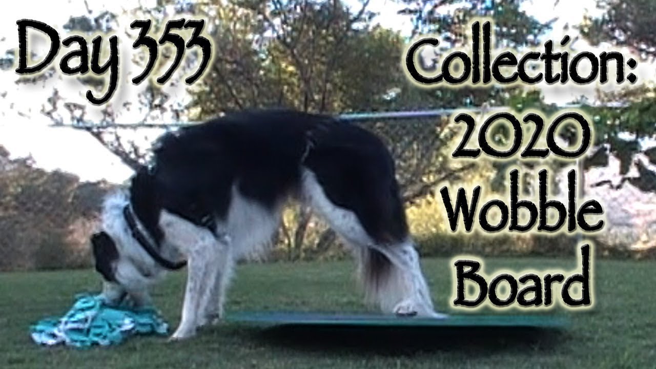 Day 353: Collection - 2o2o Wobble Board physical education