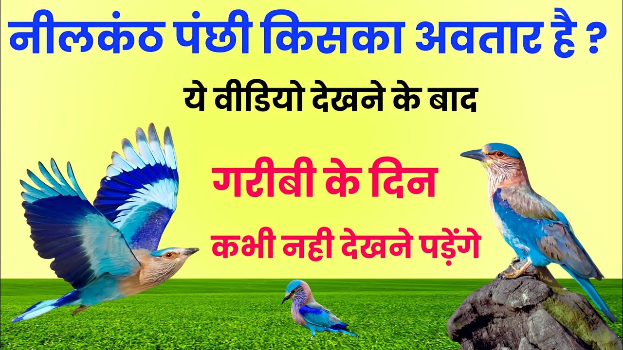 नीलकंठ पंछी किसका अवतार है ? | इसे सुनने के बाद |  गरिबी के दिन कभी नही देखने पड़ेंगे | Neelkanth