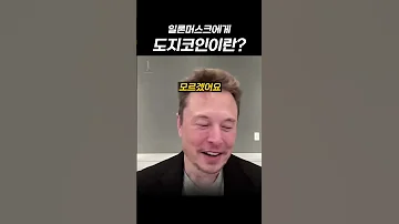 테슬라 일론머스크에게 도지코인이란